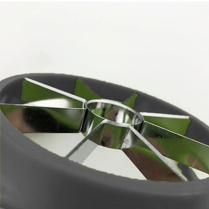 Stainless Steel Apple Slicer
