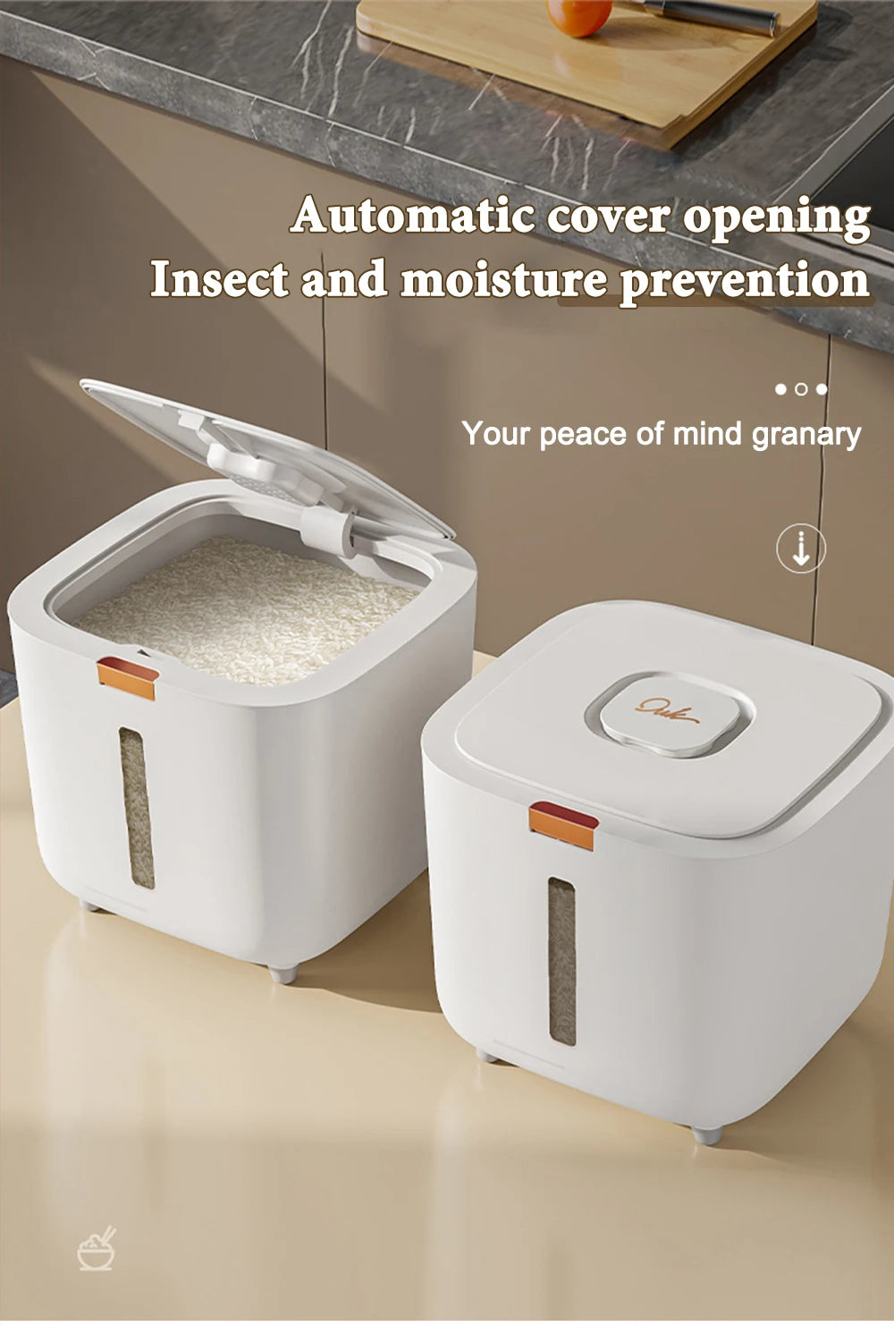 Insect Proof Moisture Proof Rice Box